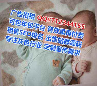广南代生软件公司